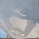 KMHLM4DG6SU872819 2025 Hyundai Elantra Sel Sport auction photo thumbnail 20
