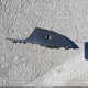 1HGCR3F85DA046488 2013 Honda Accord Ex-L V-6 auction photo thumbnail 18