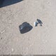 4S4GUHM66S3743727 2025 Subaru Crosstrek Limited auction photo thumbnail 11