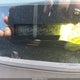 4T1BK36B56U097741 2006 Toyota Avalon Xls auction photo thumbnail 18