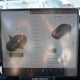 5YJ3E1ET9RF870285 2024 Tesla Model 3 Performance All-Wheel Drive auction photo thumbnail 7
