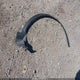 1FM5K8GT2KGA84178 2019 Ford Explorer Sport auction photo thumbnail 11