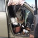 7MMVABXY2SN336930 2025 Mazda Cx-50 2.5 Turbo Meridian Edition auction photo thumbnail 5