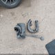 4T3BK3BB1BU050827 2011 Toyota Venza Base V6 auction photo thumbnail 12