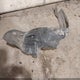 5FNYF6H27MB019050 2021 Honda Pilot Awd Special Edition auction photo thumbnail 12