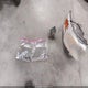 2FMGK5CC4BBD29485 2011 Ford Flex Sel auction photo thumbnail 12