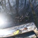 JTEZU14R270089571 2007 Toyota 4Runner Sr5 V6 auction photo thumbnail 6