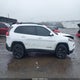 1C4PJMDS9HW504392 2017 Jeep Cherokee High Altitude 4X4 auction photo thumbnail 13