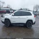 1C4PJMDS9HW504392 2017 Jeep Cherokee High Altitude 4X4 auction photo thumbnail 14