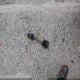 1FMCU93138KC14311 2008 Ford Escape Xlt auction photo thumbnail 12