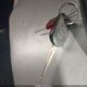 1NXBR32E56Z708234 2006 Toyota Corolla S auction photo thumbnail 11
