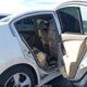 1N4AL2AP5BN448037 2011 Nissan Altima 2.5 S auction photo thumbnail 8