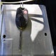 1FMCU9GD3JUC26098 2018 Ford Escape Se auction photo thumbnail 11