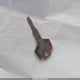 JN6ND06SXEW019658 1984 Datsun 720 King Cab auction photo thumbnail 11