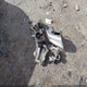 1FMJU1LT3GEF54419 2016 Ford Expedition Platinum auction photo thumbnail 12