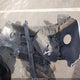 KNDJT2A64D7571644 2013 Kia Soul + auction photo thumbnail 12