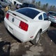 1ZVFT80N675254592 2007 Ford Mustang V6 Deluxe/V6 Premium auction photo thumbnail 4