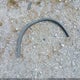 KNMAT2MT3KP515564 2019 Nissan Rogue Sv auction photo thumbnail 12