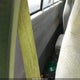 1FTZF17W9WNC36454 1998 Ford F-150 Lariat/Standard/Xl/Xlt auction photo thumbnail 8