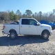 1FTFW1CV7AFD09355 2010 Ford F-150 Fx2 Sport/Harley-Davidson/King Ranch/Lariat/Platinum/Xl/Xlt auction photo thumbnail 13