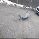 1FMCU9DG2AKC45896 2010 Ford Escape Xlt auction photo thumbnail 12