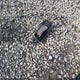 JN1CA31D51T804133 2001 Nissan Maxima Gle auction photo thumbnail 12