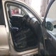 WVGBV7AX4DW538102 2013 Volkswagen Tiguan S/Se/Sel auction photo thumbnail 5