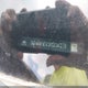 3GNAXHEV3MS136275 2021 Chevrolet Equinox Fwd Ls auction photo thumbnail 9