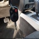 1FMCU0D74CKC73603 2012 Ford Escape Xlt auction photo thumbnail 11