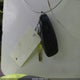 1FADP5BUXDL544106 2013 Ford C-Max Hybrid Sel auction photo thumbnail 11