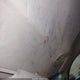 1J8GL48KX3W655585 2003 Jeep Liberty Sport auction photo thumbnail 12