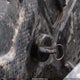 3NSVDK990KH835319 2019 Polaris Razor auction photo thumbnail 11
