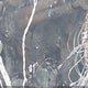 YV4A22PK3H1112232 2017 Volvo Xc90 T6 Momentum auction photo thumbnail 11