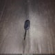 3FAHP0HA6AR388340 2010 Ford Fusion Se auction photo thumbnail 12