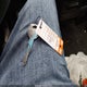 JHLRD28451S003600 2001 Honda Cr-V Lx auction photo thumbnail 11