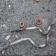 1FTEX1EP6HFB64438 2017 Ford F-150 Xl auction photo thumbnail 12