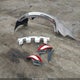 JN8AZ1MW8EW507879 2014 Nissan Murano Le/S/Sl/Sv auction photo thumbnail 12