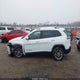 1C4PJLLB9LD654003 2020 Jeep Cherokee Latitude Plus Fwd auction photo thumbnail 13