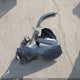 2T3H1RFV6MC100551 2021 Toyota Rav4 Le auction photo thumbnail 12