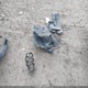 WBS33HJ01SFT74871 2025 BMW M3 Competition xDrive auction photo thumbnail 12