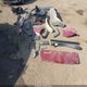 2T3W1RFV5PW281961 2023 Toyota Rav4 Xle auction photo thumbnail 22