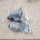 19XFC2F75HE004419 2017 Honda Civic Ex auction photo thumbnail 11