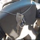 1D7HA18N24S649918 2004 Dodge Ram 1500 Slt/Laramie auction photo thumbnail 11