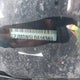 1C4PJMDN5LD618369 2020 Jeep Cherokee Limited 4X4 auction photo thumbnail 17