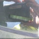 KNAFE121875008588 2007 Kia Spectra Sx auction photo thumbnail 18