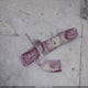 1GCCS14X5XK193166 1999 Chev S10 auction photo thumbnail 12