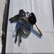 SAJTW4845MC178986 1991 Jaguar Xjs Classic Collection auction photo thumbnail 11