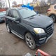 4JGDA5HB7DA125817 2013 Mercedes-Benz Ml 350 4Matic auction photo thumbnail 1