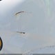 1D4GP24R55B388775 2005 Dodge Grand Caravan Se auction photo thumbnail 6