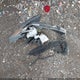 5NPD84LF2JH247641 2018 Hyundai Elantra Value Edition auction photo thumbnail 12